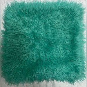 pottery barn pillow case